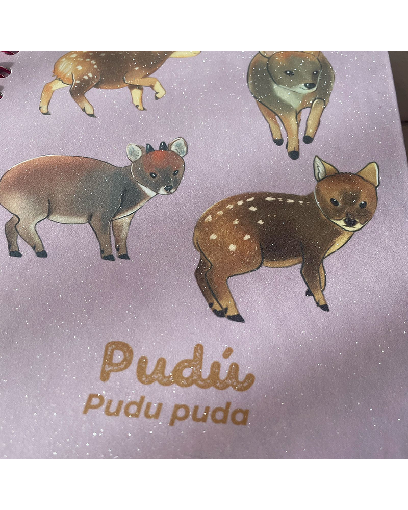 Cuaderno Pudús