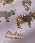 Cuaderno Pudús
