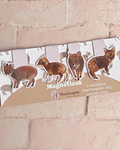 Marcapáginas Magnéticos Pudú | Papelería Ilustrada Chilena