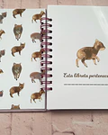 Cuaderno Pudús Maqui Chilco a5
