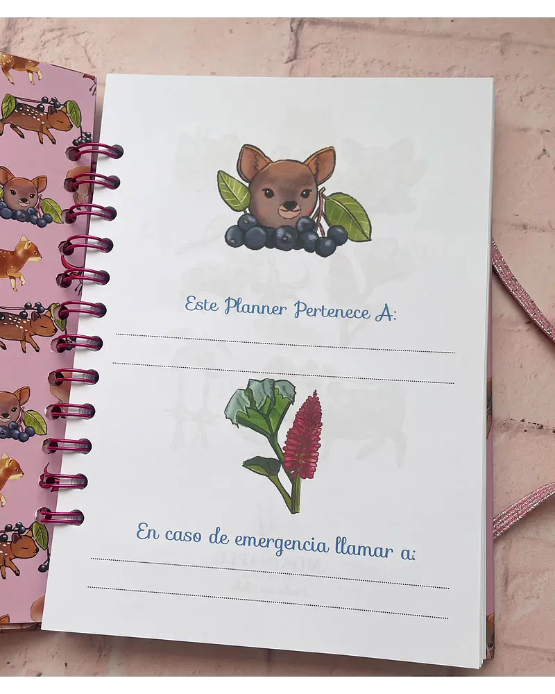 Planner Semanal Ilustrado Pudúes Chilco