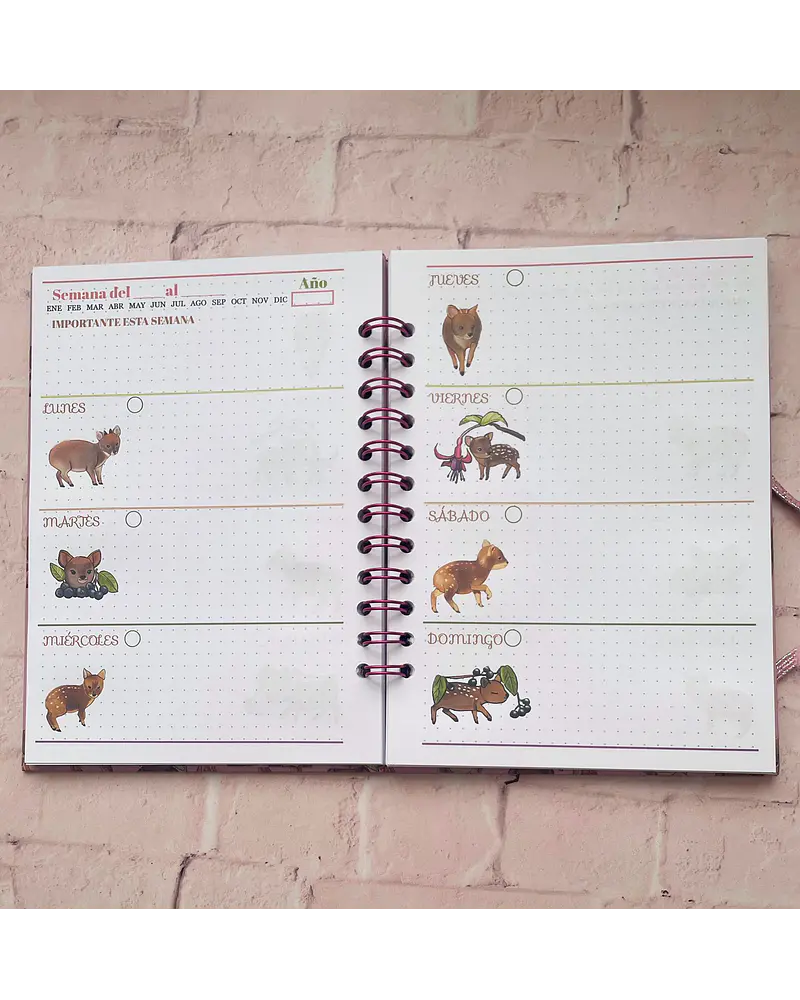 Planner Semanal Ilustrado Pudúes Chilco
