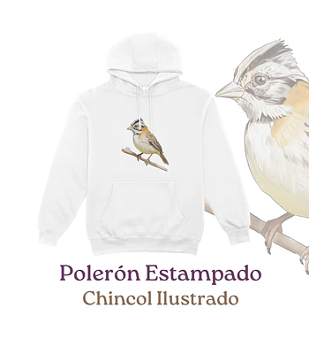 Poleron Canguro estampado Chincol Ilustrado - Blanco