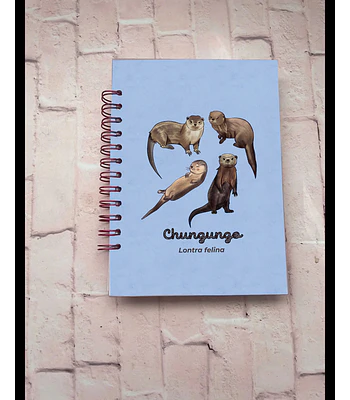 Cuaderno Chungungos Ilustrados a5