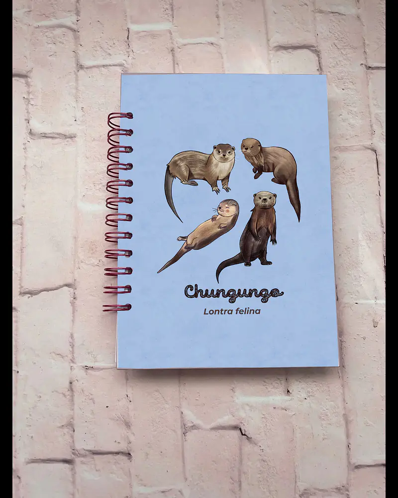 Cuaderno Chungungos Ilustrados a5