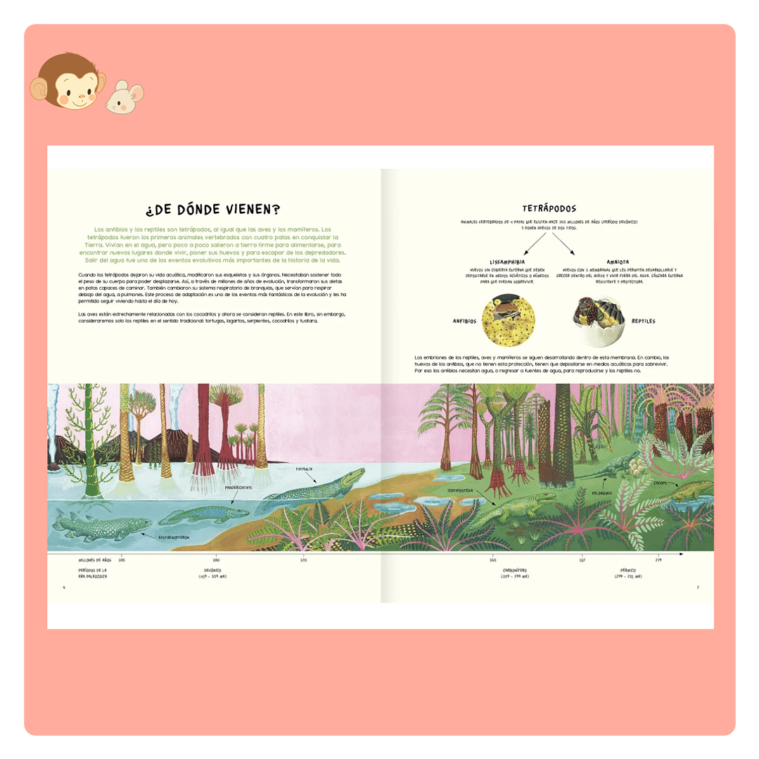 Agua y Tierra: Anfibios y reptiles de América 2