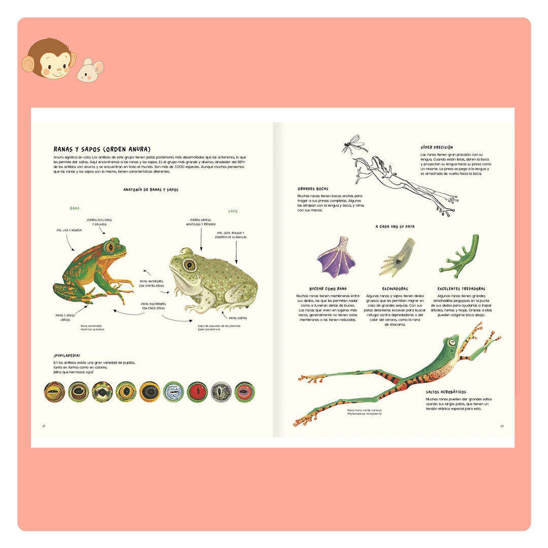 Agua y Tierra: Anfibios y reptiles de América 3