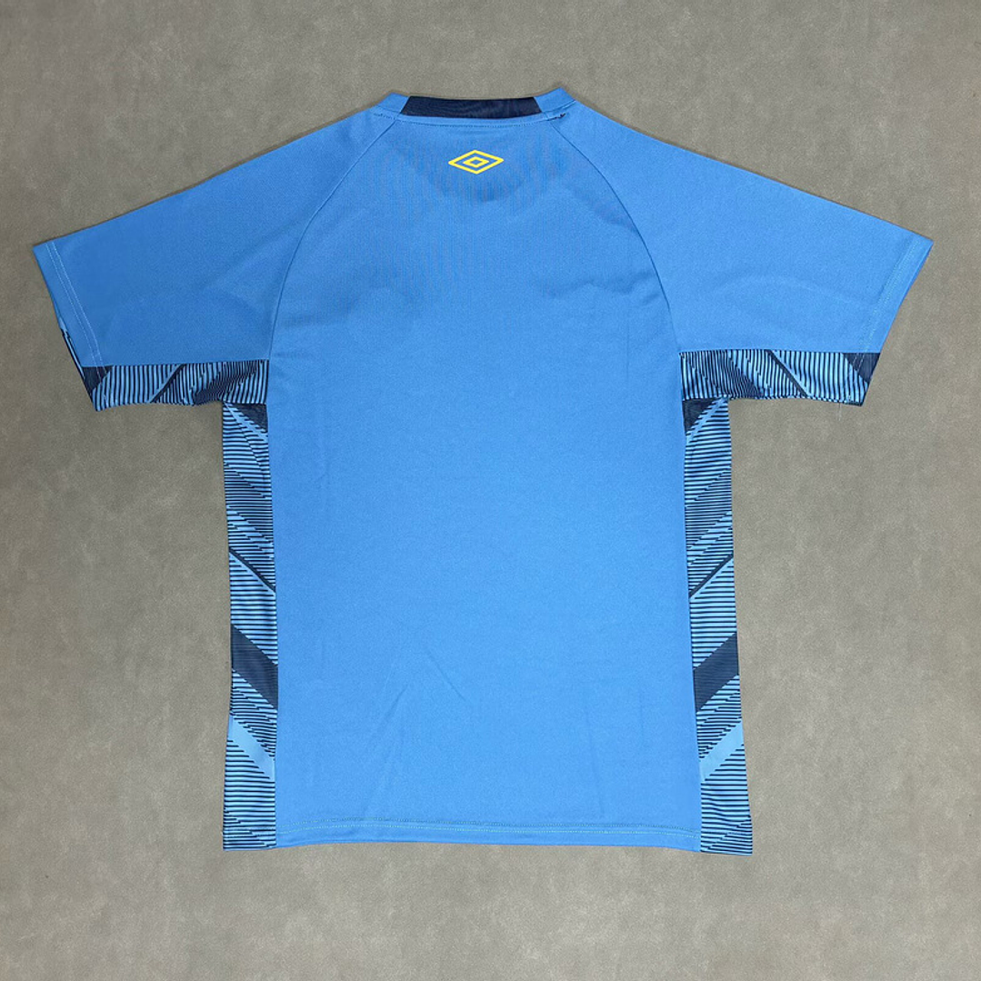 Camisa do Grêmio Goleiro - 25/26 2