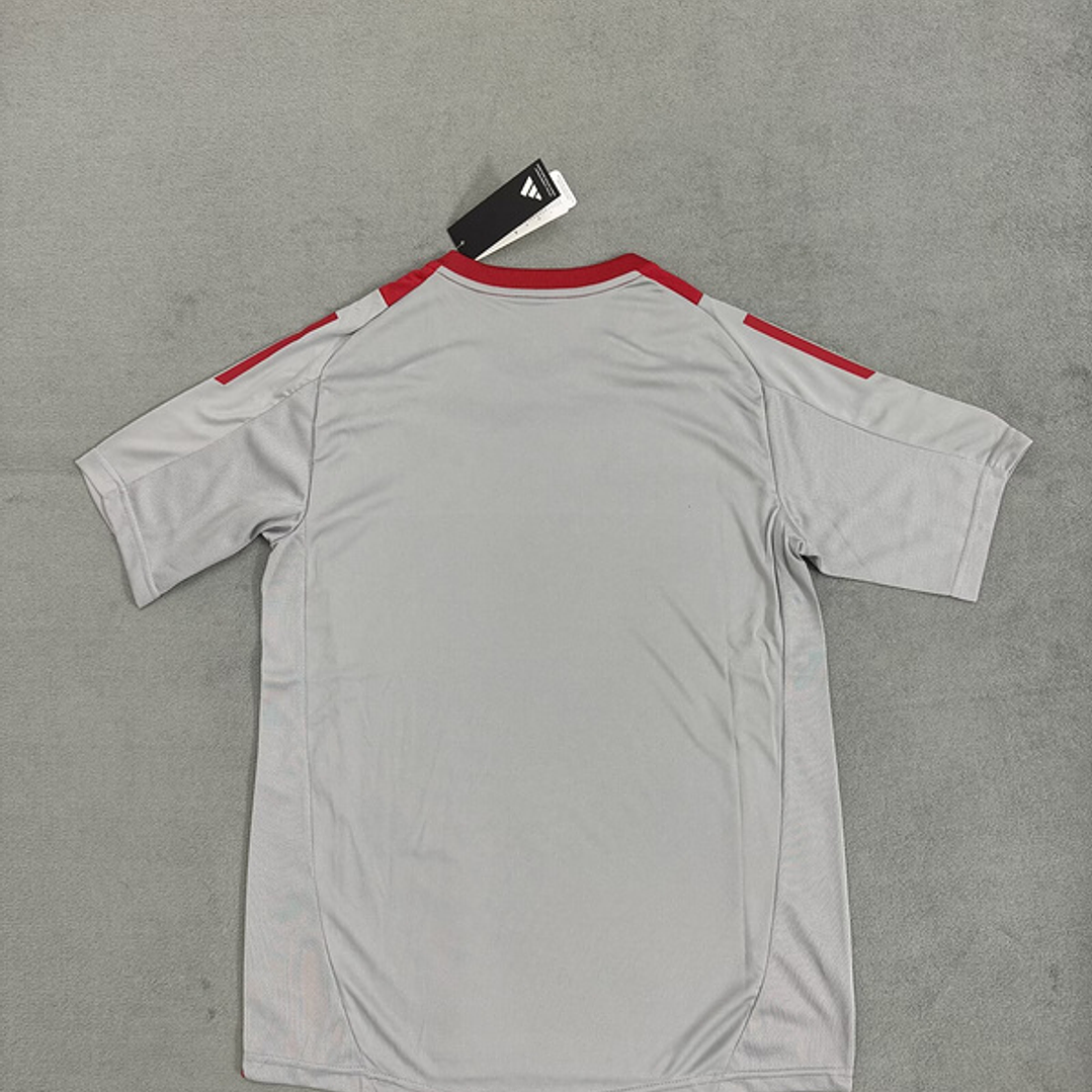 Camisa Internacional treino 24/25 2