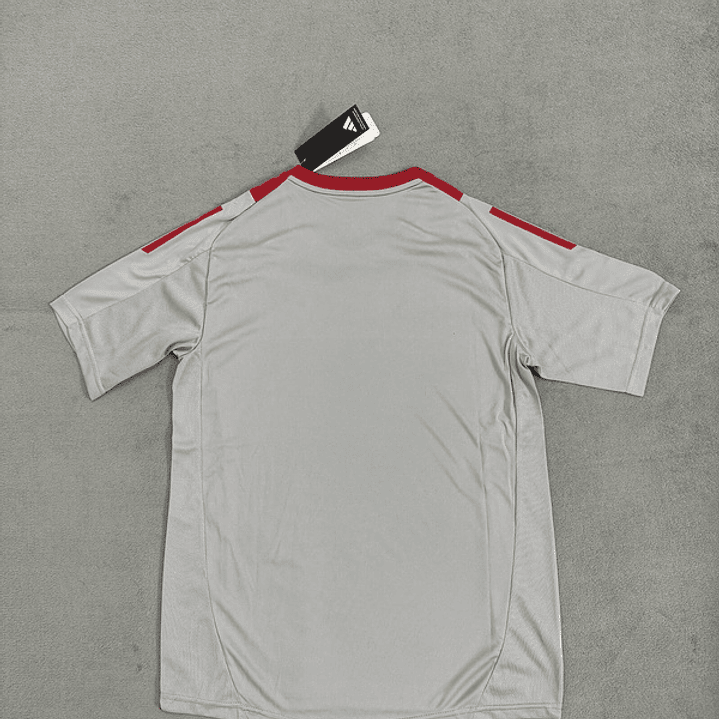 Camisa Internacional treino 24/25 2