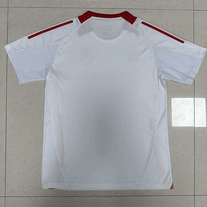 Camisa Internacional treino 25/26 2