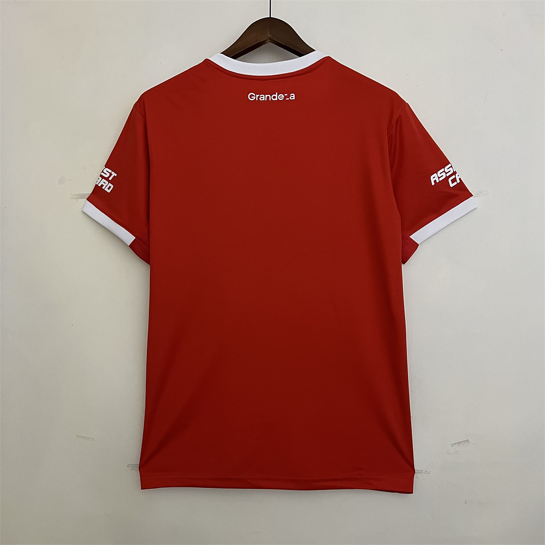 Camiseta River Plate 2023/24 Visitante 2