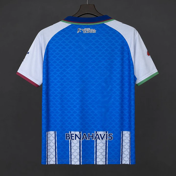 CAMISA MÁLAGA CF 26/27 PRINCIPAL - Azul e Branca Listrada 2