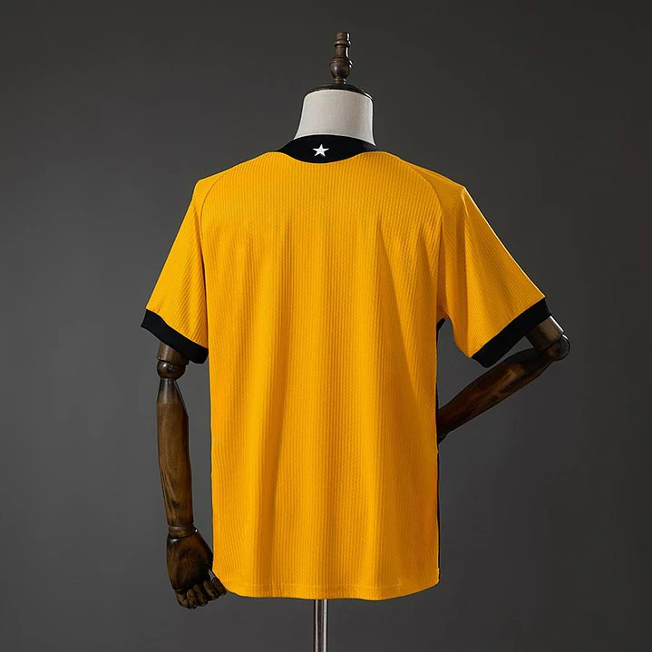 CAMISA BOTAFOGO 26/27 GOLEIRO - Laranja 2