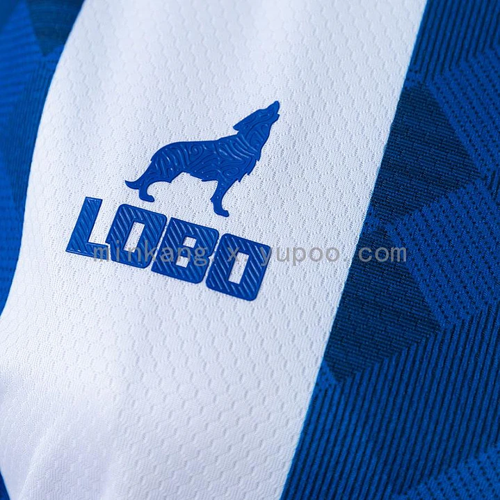 CAMISA PAYSANDU 26/27 CASA - Feminina 3