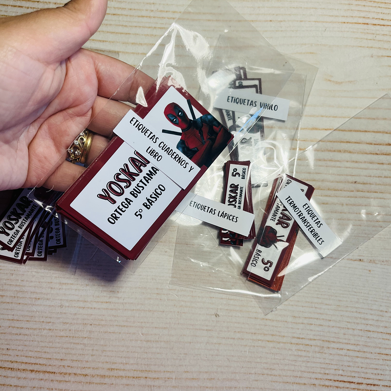 75 ETIQUETAS MULTIUSO ESCOLAR 