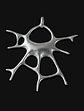 Dije Aracnido - Miniatura 1