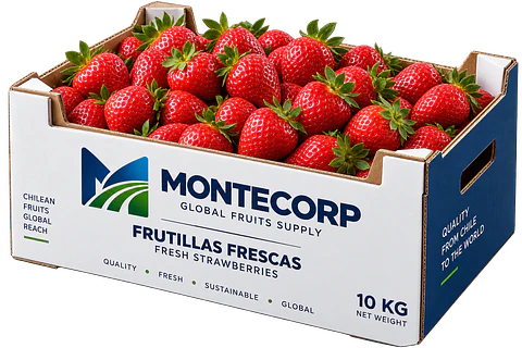 Frutilla fresca