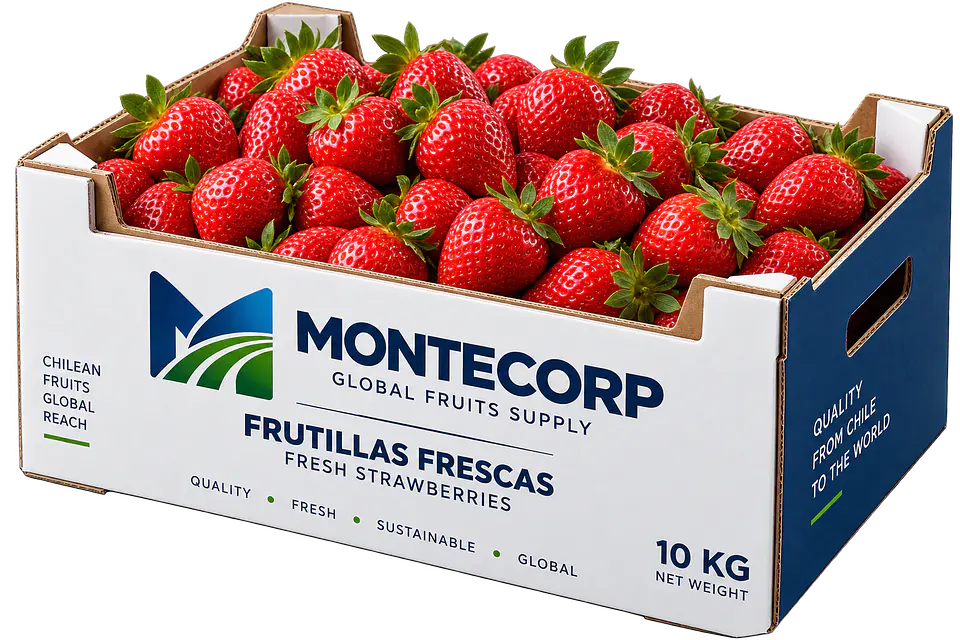 Frutilla fresca 1