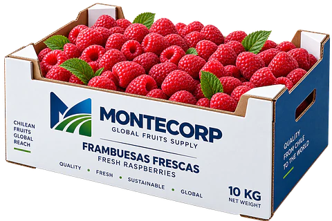 Frambuesa fresca