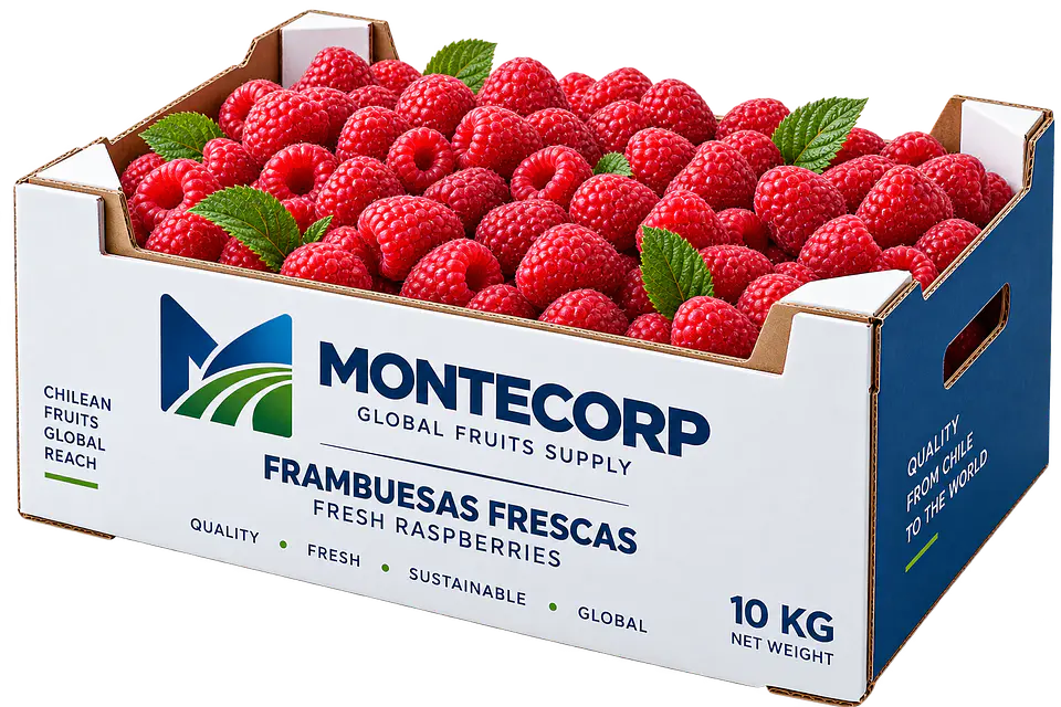 Frambuesa fresca 1