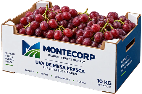 Uva de mesa