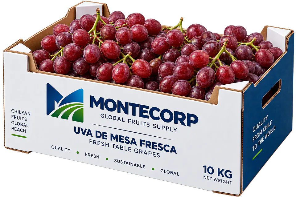 Uva de mesa 1