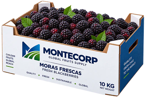 Mora fresca