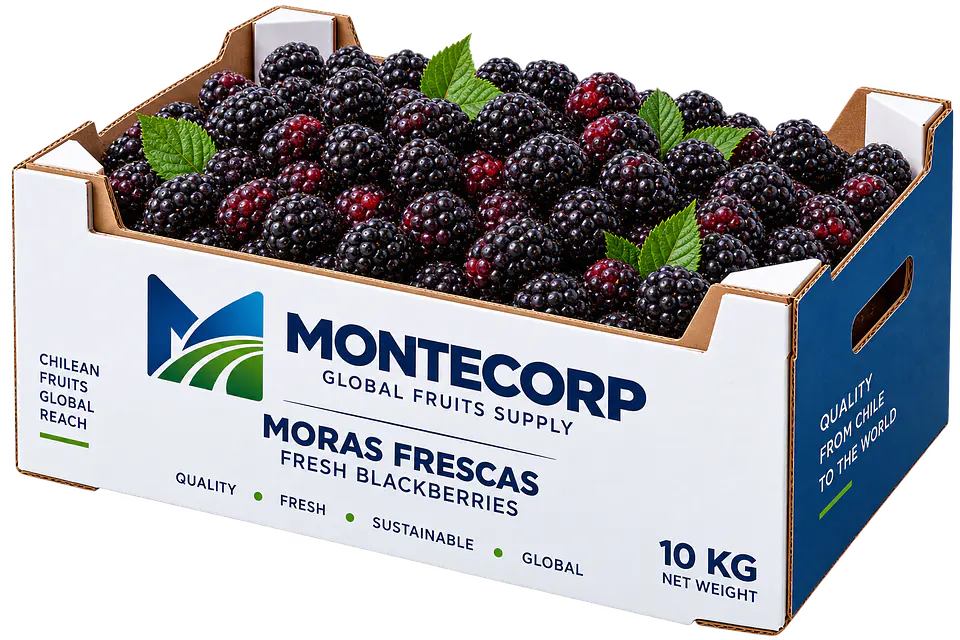 Mora fresca 1