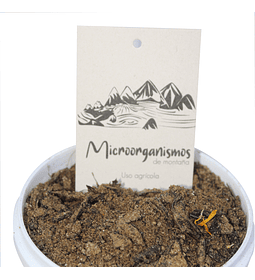 Microorganismos uso agrícola