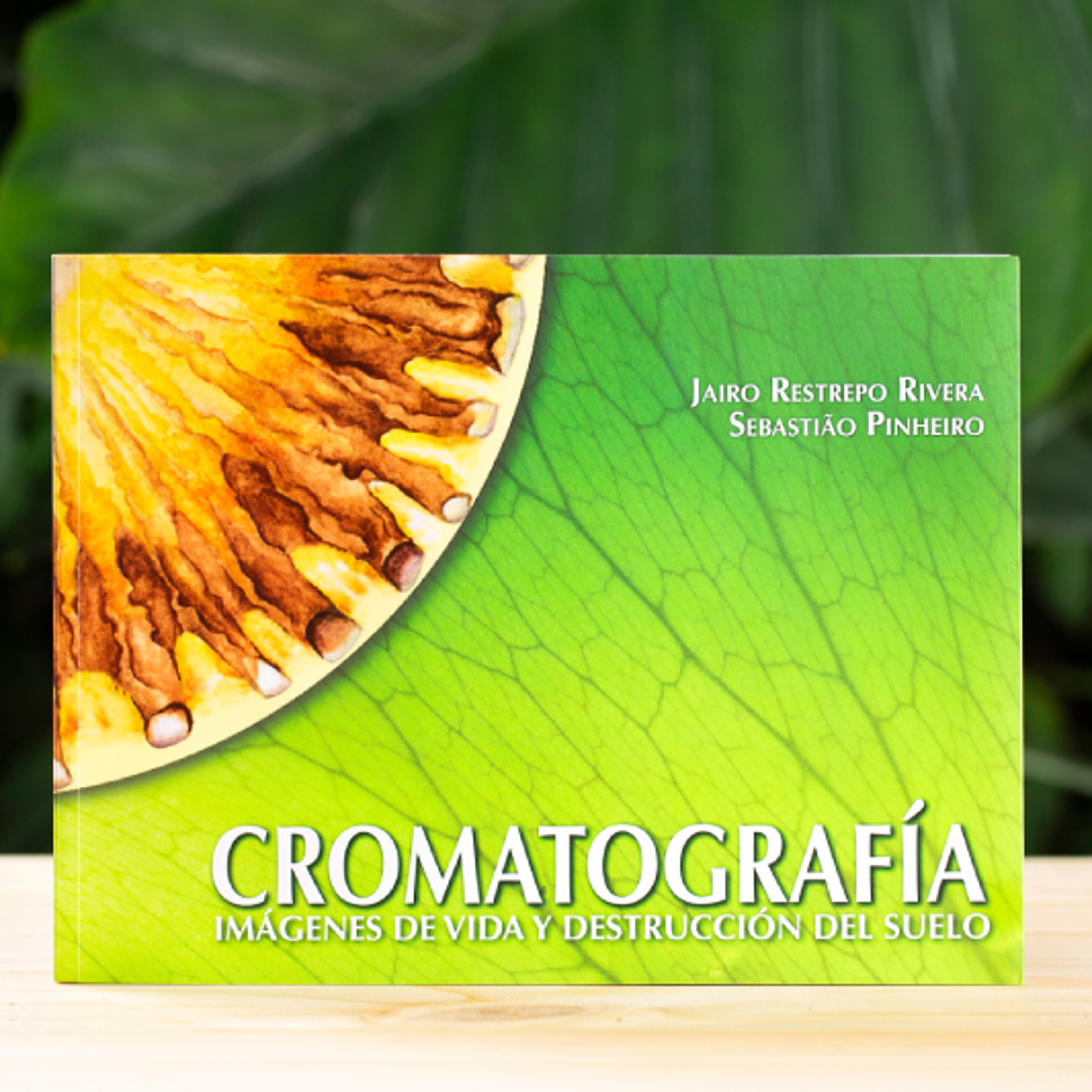 Libro de Cromatografía - Jairo Restrepo Rivera y Sebastiao Pinheiro.  1