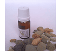 Aceite esencial- Aromaterapia - Romero