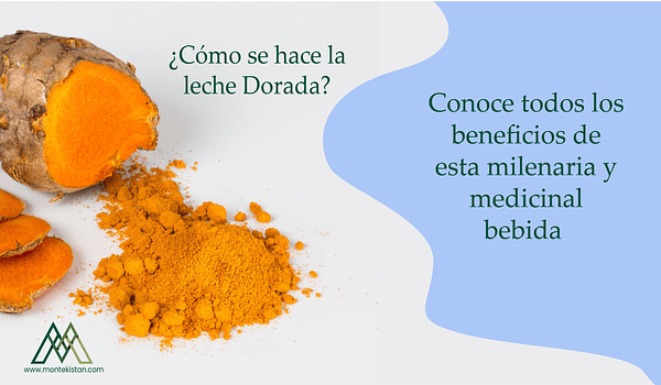 ¿Cómo hacer leche Dorada? 