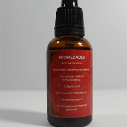  Extracto medicinal Cola de pavo (Pycnoponus sanguineus) 30 ml