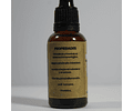 Extracto medicinal Shiitake (Lentinula edodes) 30 ml