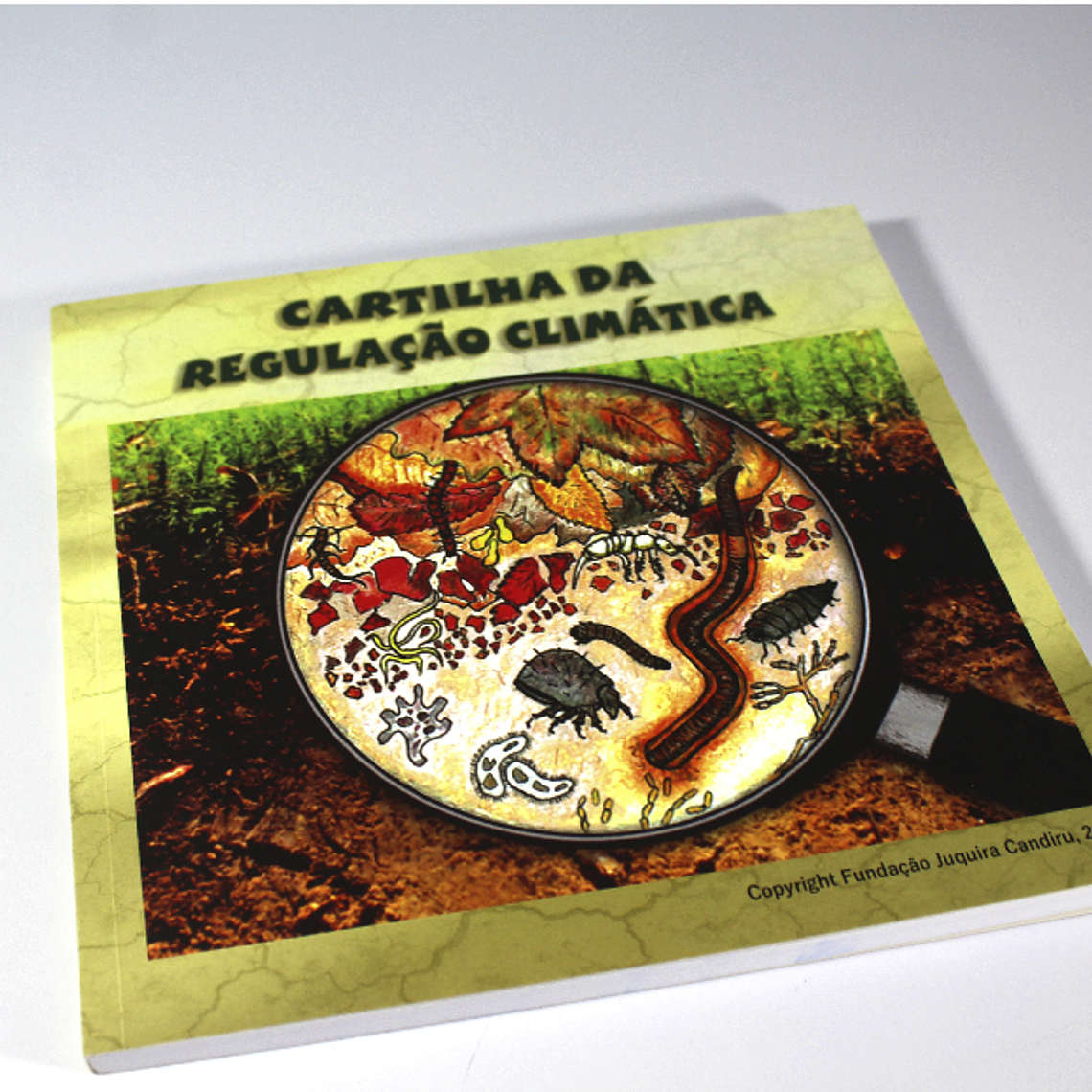 Cartilla de Regulación climática  1