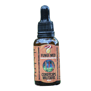 Extracto de Cordyceps Militaris 