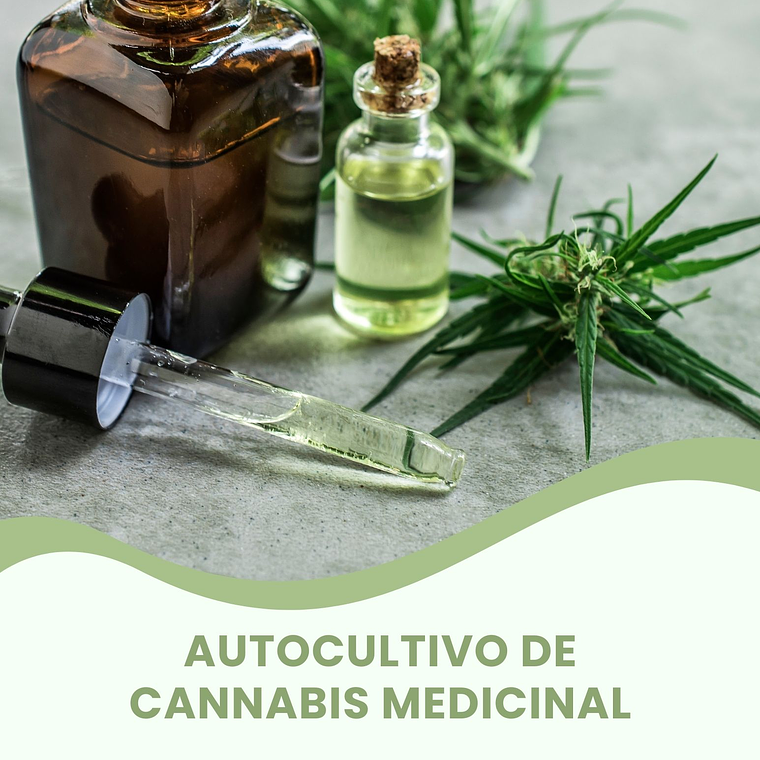 GUÍA DE AUTOCULTIVO DE PLANTA MEDICINAL 1