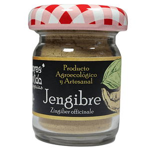 Especia Jengibre