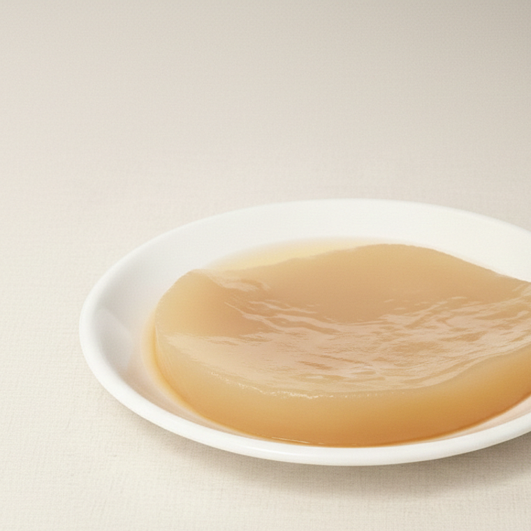 Scoby para kombucha  1