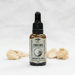 Extracto medicinal Melena de león (Hericium erinaceus)  30 ml