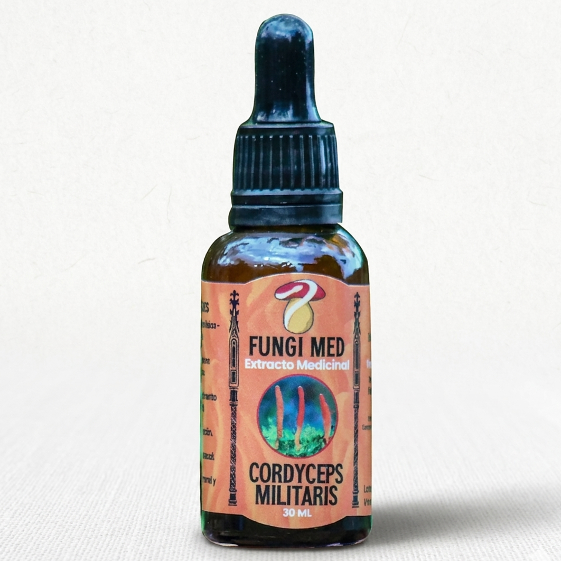 Extracto de Cordyceps Militaris  1