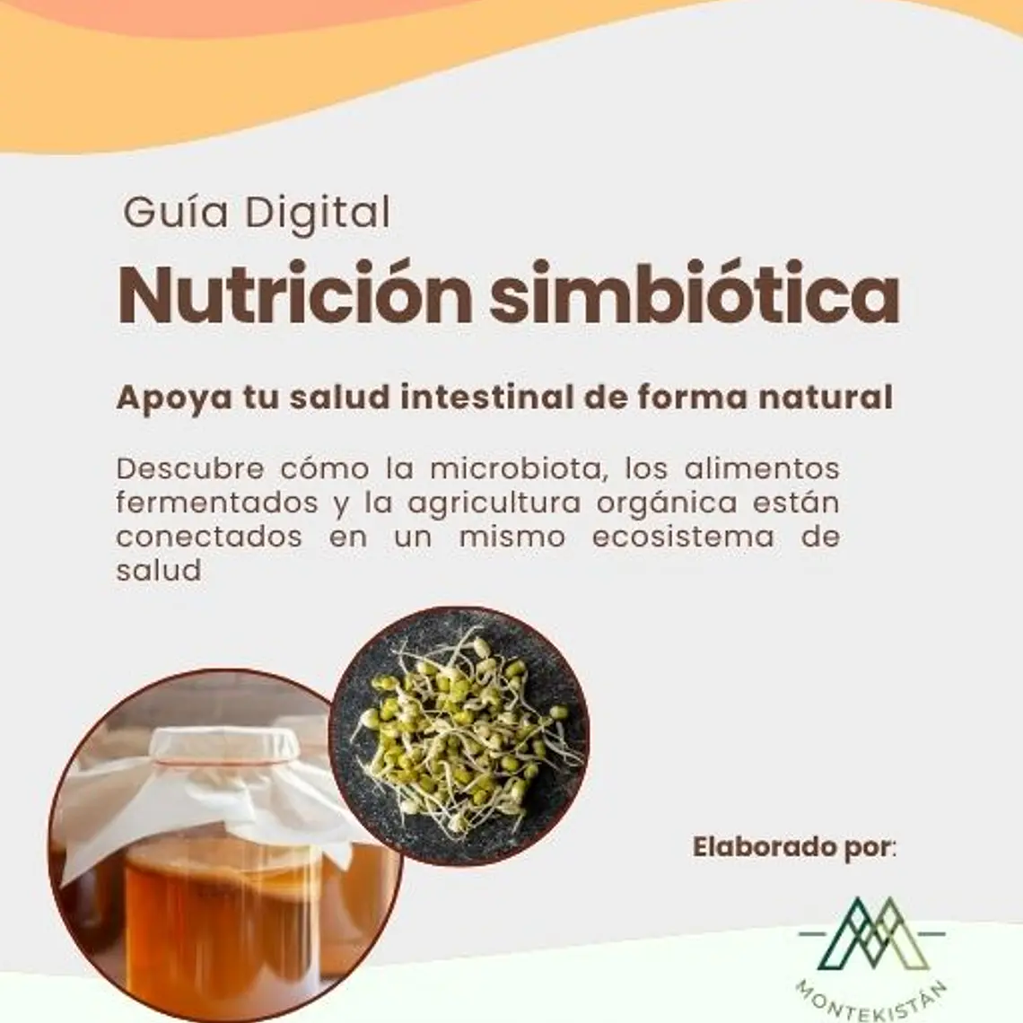 Ebook Nutrición simbiótica | Recetas de fermentación | 1