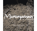 Microorganismos uso agrícola 1 kg 