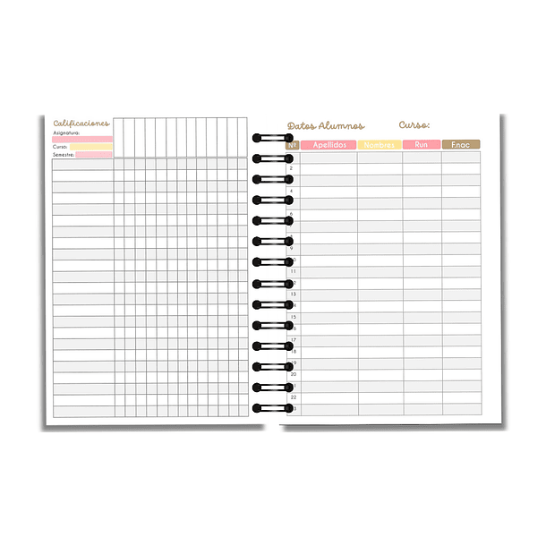 Planner Profesora 10