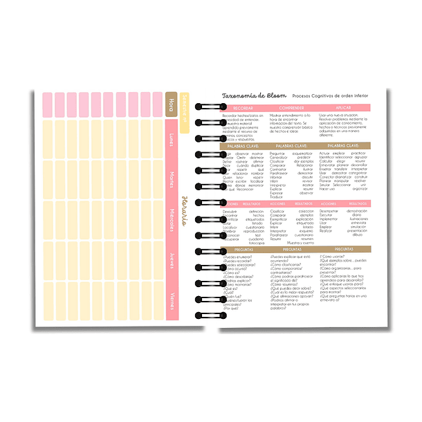 Planner Profesora 9