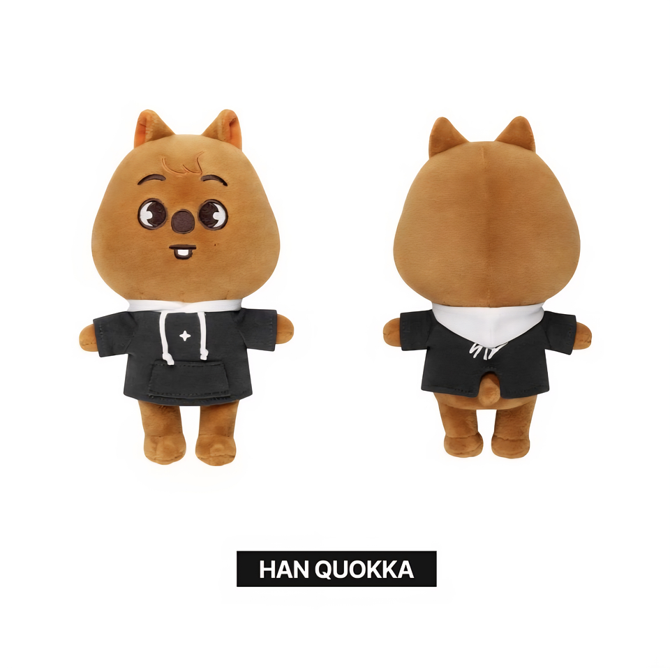 A PEDIDO💌| SKZOO plush Original ver.  6