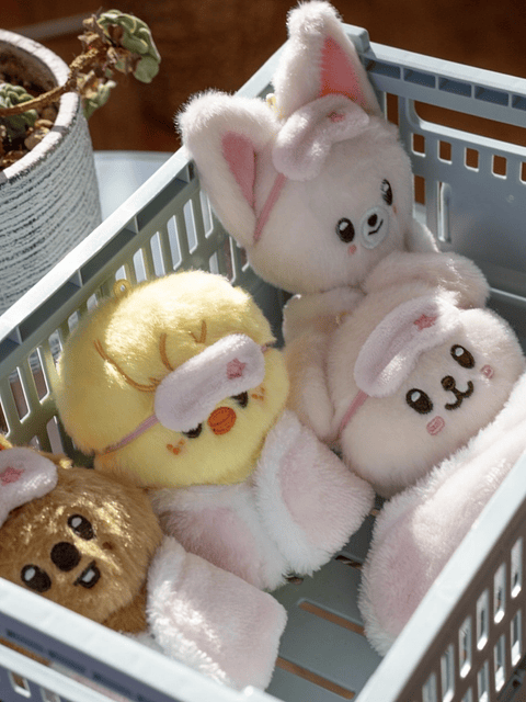 A PEDIDO💌| SKZOO PLUSH 10CM VER. - Stay in Our Little House