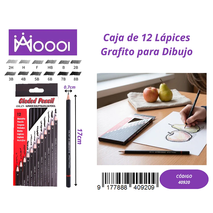 CAJA DE 12 LÁPICES DE GRAFITO PARA DIBUJO Precio publicado al por mayor 3 unidades del mismo 1