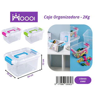 CAJA ORGANIZADORA 2KG Precio publicado al por mayor 3 unidades del mismo